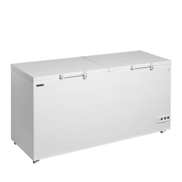 Chest freezer with two-piece lid FR606 SL